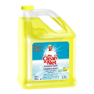 Mr Clean   3.78L